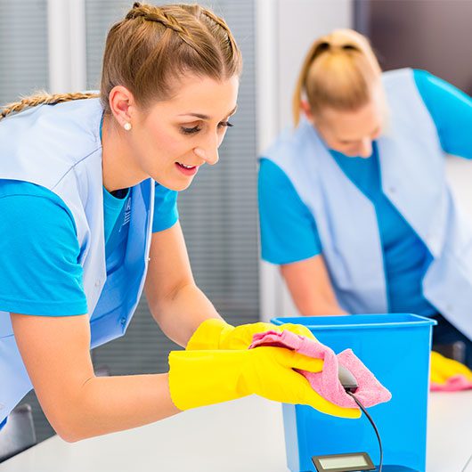 Deep Cleaning Services in Haversford Township PA - ladies cleaning